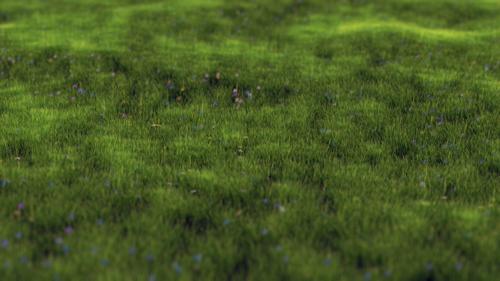 Grass preview image